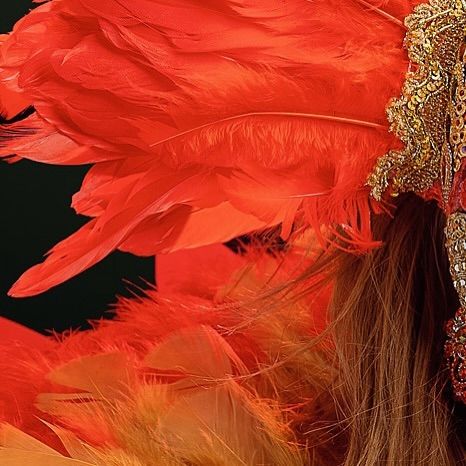 ShowGirl — Foto 8